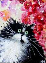 Пушистый черно-белый кот