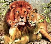 Львиное семейство в полном составе