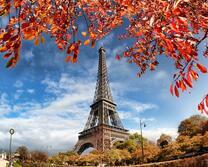 Эйфелева башня сквозь осеннюю листву