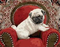 Щенок в красном кресле
