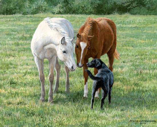 Картина по номерам 40x50 Лошадиное семейство и пес