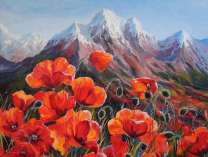 Маки в горной долине