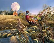 Фазаны у пруда