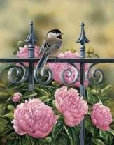 Воробушек возле пионов