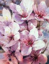 Нежно-розовые цветы