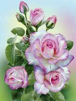 Нежная роза в розовых тонах