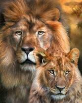 Лев и львица