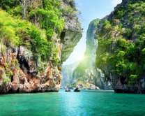 Деревья на скалах над рекой