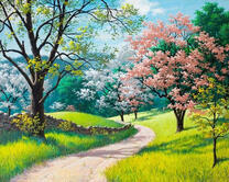 Тропа вдоль цветущих деревьев