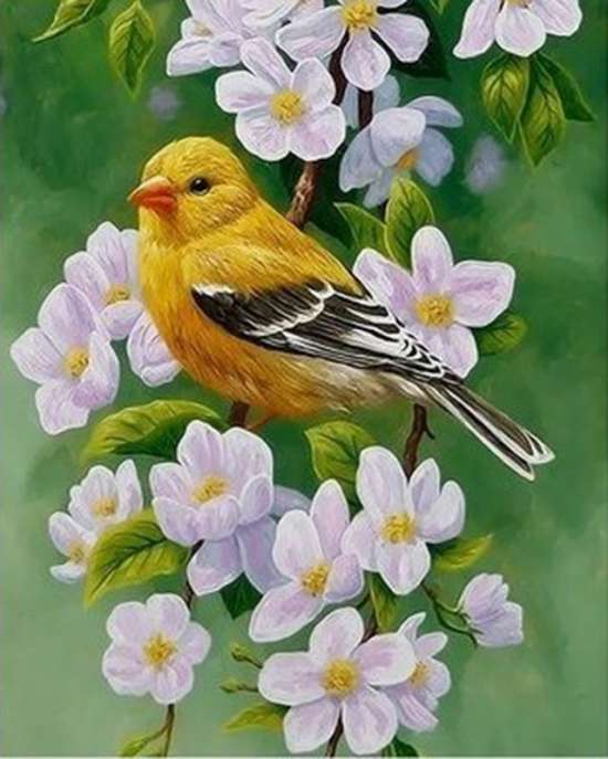 Картина по номерам 40x50 Желтая птичка на цветущей ветке
