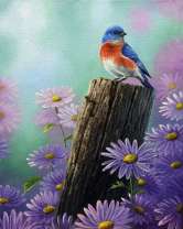 Птичка и цветы