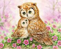 Картина по номерам «Сова и ее детёныш в цветах»
