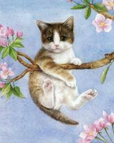 Шкодный котёнок на яблоневой ветке