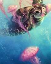 Черепаха среди медуз