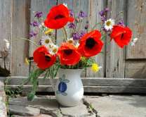 Яркий букет с маками в белой вазе