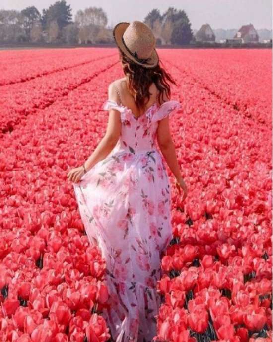 Картина по номерам 40x50 Девушка в поле алых тюльпанов