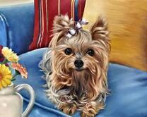 Щеночек с бантиком на ярком диванчике