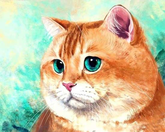 Картина по номерам 40x50 Милый зеленоглазый котик