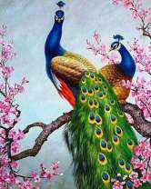 Два больших павлина на цветущей ветке