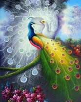 Два превосходных павлина