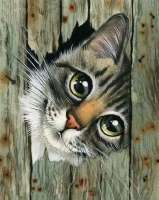 Картина по номерам «Котенок в заборе»