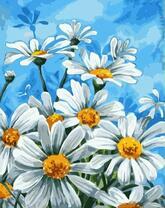 Кустик больших белых ромашек