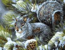 Серая белочка на ели