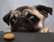 Желанное печенье