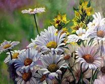 Букет ромашек с полевыми цветами