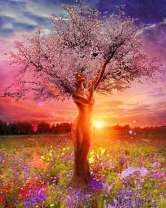 Девушка-дерево