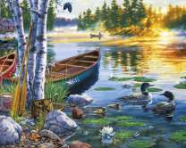 Семья уток на озере в лесу