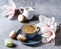 Кофе, печенье и цветы магнолии
