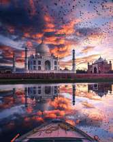 Стая птиц над величественной мечетью