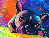 Маленький щенок французского бульдога