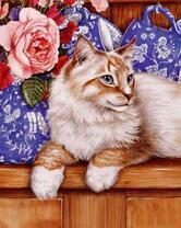 Красивая светлая кошка