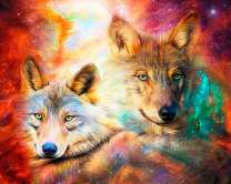 Две волчицы на фоне космоса