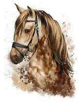 Лошадь с красивой гривой