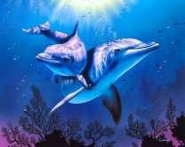 Пара дельфинов под водой в солнечных лучах