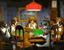 Собаки и вечерний покер