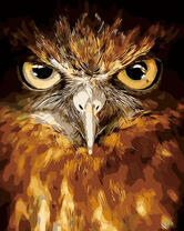 Злой взгляд филина