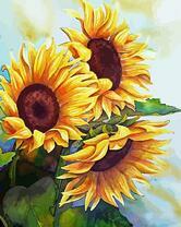 Три цветка подсолнуха в поле