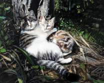 Пара котиков под деревом в лесу