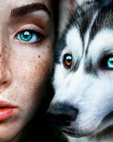 Девушка с милая хаски