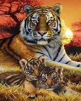 Тигрица и её крошки