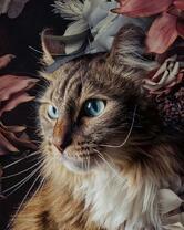 Пушистый кот среди цветов