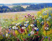 Летнее поле цветов у деревни