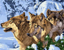 Три волка в зимнем лесу