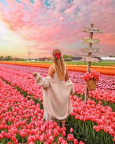 Милая девушка среди тюльпанов