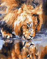 Король зверей на водопое