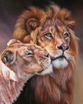 Лев и его львица